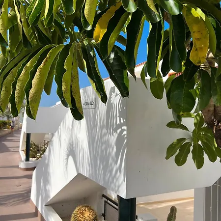 Malibu Ocean Sunset Апартаменти Адехе